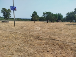 Terreno Urbano T0 - Cabanas de Viriato, Carregal do Sal, Viseu - Miniatura: 16/24