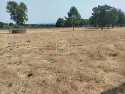 Terreno Urbano T0 - Cabanas de Viriato, Carregal do Sal, Viseu - Miniatura: 17/24