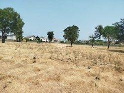 Terreno Urbano T0 - Cabanas de Viriato, Carregal do Sal, Viseu - Miniatura: 18/24