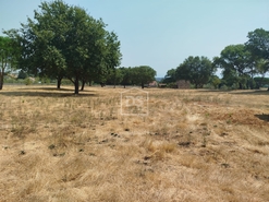 Terreno Urbano T0 - Cabanas de Viriato, Carregal do Sal, Viseu - Miniatura: 24/24