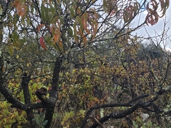 Quinta T3 - Povolide, Viseu, Viseu - Miniatura: 16/24