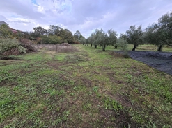 Quinta T3 - Povolide, Viseu, Viseu - Miniatura: 19/24