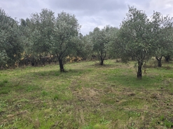 Quinta T3 - Povolide, Viseu, Viseu - Miniatura: 21/24