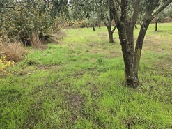 Quinta T3 - Povolide, Viseu, Viseu - Miniatura: 22/24