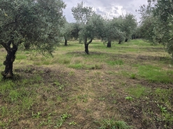 Quinta T3 - Povolide, Viseu, Viseu - Miniatura: 23/24