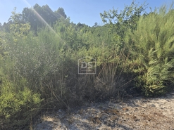 Terreno R�stico T0 - Queiriga, Vila Nova de Paiva, Viseu - Miniatura: 3/9