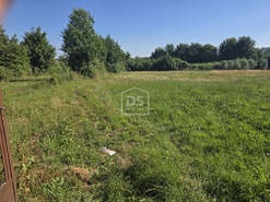 Terreno R�stico T0 - Queiriga, Vila Nova de Paiva, Viseu - Miniatura: 9/9