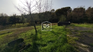 Terreno R�stico T0 - Oliveira do Conde, Carregal do Sal, Viseu - Miniatura: 5/24