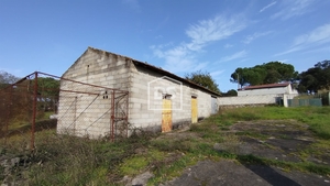 Terreno R�stico T0 - Oliveira do Conde, Carregal do Sal, Viseu - Miniatura: 6/24