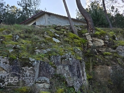 Terreno R�stico T0 - Castelo, Moimenta da Beira, Viseu - Miniatura: 5/24