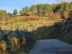 Terreno R�stico T0 - Castelo, Moimenta da Beira, Viseu - Miniatura: 14/24