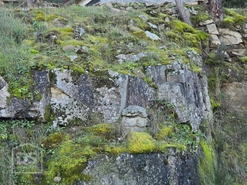 Terreno R�stico T0 - Castelo, Moimenta da Beira, Viseu - Miniatura: 17/24