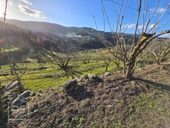 Terreno R�stico T0 - Castelo, Moimenta da Beira, Viseu - Miniatura: 24/24