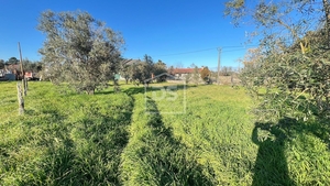 Terreno Rústico T0 - Faíl e Vila Chã de Sá, Fundão, Castelo Branco - Miniatura: 1/13