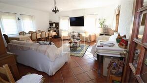 Quinta T6 - Campo, Viseu, Viseu - Miniatura: 16/24