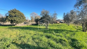 Terreno Rústico T0 - Faíl e Vila Chã de Sá, Fundão, Castelo Branco - Miniatura: 9/13