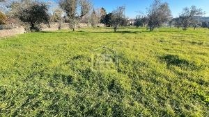 Terreno Rústico T0 - Faíl e Vila Chã de Sá, Fundão, Castelo Branco - Miniatura: 10/13