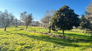 Terreno Rústico T0 - Faíl e Vila Chã de Sá, Fundão, Castelo Branco - Miniatura: 11/13