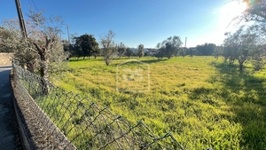 Terreno Rústico T0 - Faíl e Vila Chã de Sá, Fundão, Castelo Branco - Miniatura: 12/13