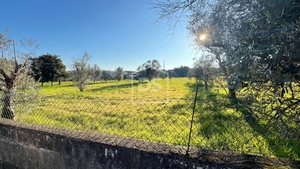 Terreno Rústico T0 - Faíl e Vila Chã de Sá, Fundão, Castelo Branco - Miniatura: 13/13