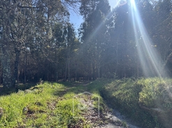 Terreno Rústico T0 - Mundão, Viseu, Viseu - Miniatura: 12/23