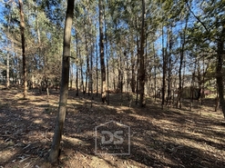 Terreno Rústico T0 - Mundão, Viseu, Viseu - Miniatura: 13/23