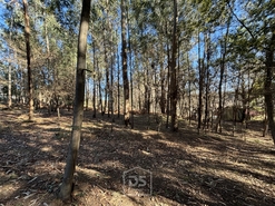 Terreno Rústico T0 - Mundão, Viseu, Viseu - Miniatura: 14/23