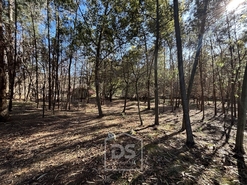 Terreno Rústico T0 - Mundão, Viseu, Viseu - Miniatura: 15/23