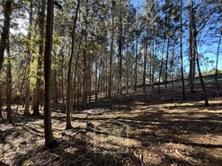 Terreno Rústico T0 - Mundão, Viseu, Viseu - Miniatura: 16/23