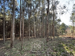 Terreno Rústico T0 - Mundão, Viseu, Viseu - Miniatura: 17/23