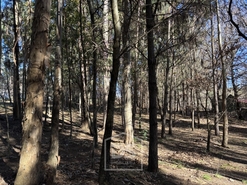 Terreno Rústico T0 - Mundão, Viseu, Viseu - Miniatura: 22/23