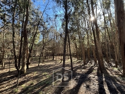 Terreno Rústico T0 - Mundão, Viseu, Viseu - Miniatura: 23/23