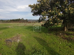 Moradia T4 - Tourais, Seia, Guarda - Miniatura: 1/24