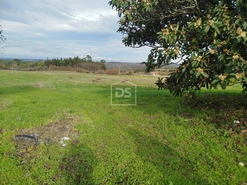 Moradia T4 - Tourais, Seia, Guarda - Miniatura: 4/24