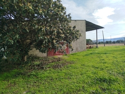 Moradia T4 - Tourais, Seia, Guarda - Miniatura: 5/24