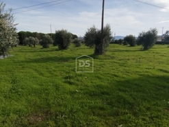 Moradia T4 - Tourais, Seia, Guarda - Miniatura: 12/24