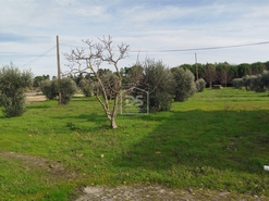 Moradia T4 - Tourais, Seia, Guarda - Miniatura: 13/24