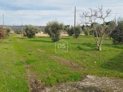 Moradia T4 - Tourais, Seia, Guarda - Miniatura: 14/24