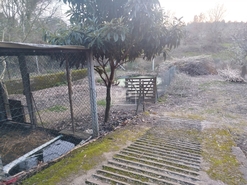 Terreno Urbano T0 - Currelos, Carregal do Sal, Viseu - Miniatura: 17/24