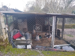 Terreno Urbano T0 - Currelos, Carregal do Sal, Viseu - Miniatura: 18/24