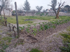 Terreno Urbano T0 - Currelos, Carregal do Sal, Viseu - Miniatura: 21/24