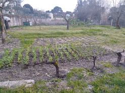 Terreno Urbano T0 - Currelos, Carregal do Sal, Viseu - Miniatura: 22/24