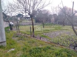 Terreno Urbano T0 - Currelos, Carregal do Sal, Viseu - Miniatura: 24/24