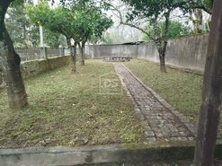 Moradia T2 - Currelos, Carregal do Sal, Viseu - Miniatura: 13/24