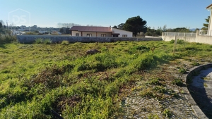 Terreno Urbano T0 - Currelos, Carregal do Sal, Viseu - Miniatura: 6/13