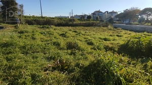 Terreno Urbano T0 - Currelos, Carregal do Sal, Viseu - Miniatura: 9/13