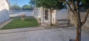 Moradia T3 - Currelos, Carregal do Sal, Viseu - Miniatura: 7/24