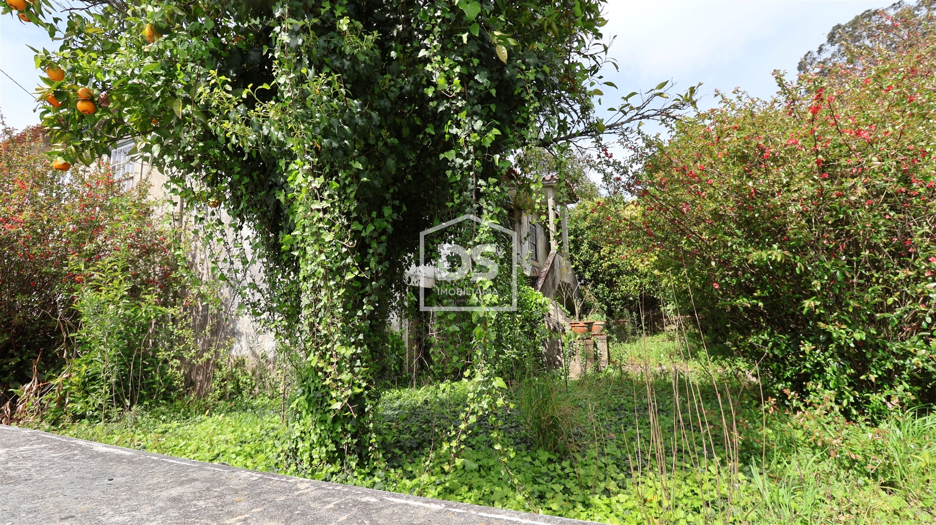 Quinta T0 - Mund�o, Viseu, Viseu - Miniatura: 18/24