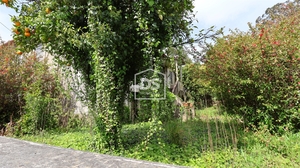 Quinta T0 - Mund�o, Viseu, Viseu - Miniatura: 19/24