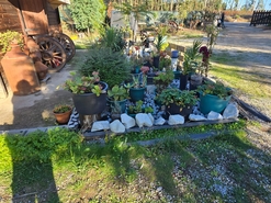 Quinta T1 - Santa Comba Do, Santa Comba Do, Viseu